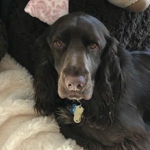 Meet your Posher, Laura